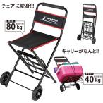  стул Carry [UL-1005]