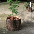 ������ץݥå� L 1223