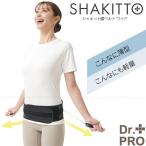 Dr.PRO автомобиль комплект поясница ремень широкий [ кошка pohs бесплатная доставка ]/ поясница ремень поясница вокруг талия ремень корсет осанка улучшение .. растягивать . прекрасный осанка тонкий легкий сетка 