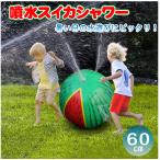 その他水遊び玩具