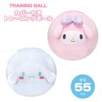  с чехлом тренировка мяч 55cm [ бесплатная доставка ]/ Sanrio фитнес мяч фитбол мяч тренировка тренировка body . стрейч 