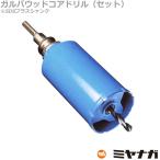 ミヤナガ PCGW170R コアドリル ガルバウッド セット SDSプラスシャンク ポリクリック 170mm (70150486)