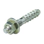 ジェフコム デンサン TS-1060P コンクリート用ノープラグアンカー M10(ソケットなし) (64012843)