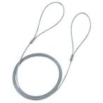サンワサプライ eセキュリティ（ワイヤー、1.0m・1.6mm） SLE-3W