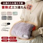 湯たんぽ 充電式 蓄熱式湯たんぽ ゆたんぽ カバー付 防寒グッズ あったかグッズ キャンプ 蓄電 ミニ 足 電気あんか 犬 かわいい クッション 携帯 持ち運び
