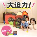 ボールハウステントセット ボール ボールプール ボールハウス トンネル おしゃれ 自宅 室内用 キッズスペース 知育 玩具 パピー 617 お祝い