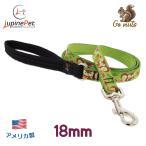 180cm Lead go- орехи рисунок 18mm ширина LUPINEru сосна накладка имеется America производства легкий * крепкий ограниченный ограничение дизайн белка .. .