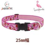ワンタッチ首輪・Sサイズ・25mm幅　
