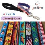 ショッピングアメリカンイーグル 25mm幅　60cmショートリード　アメリカ製　LUPINEルパイン 軽量　丈夫　製造終了・リミテッド・限定デザイン　グループ3