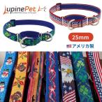25mm幅 ハーフチョークカラー 中型犬 大型犬 LUPINEルパイン アメリカ製 軽量 丈夫 製造終了・リミテッド・限定デザイン マーチンゲール グループ3
