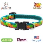  four ru цвет рисунок маленький размер собака предназначенный одним движением ошейник 13mm ширина XS размер 15-22cm LUPINE America производства легкий крепкий ru сосна Fall Color