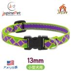 je Star рисунок маленький размер собака предназначенный одним движением ошейник 13mm ширина XS размер 15-22cm LUPINE America производства легкий крепкий ru сосна Jester