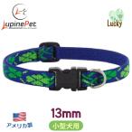  Lucky рисунок маленький размер собака предназначенный одним движением ошейник 13mm ширина S размер 20-30cm LUPINE America производства легкий крепкий ru сосна Lucky