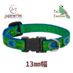  tail перо рисунок маленький размер собака предназначенный одним движением ошейник 13mm ширина XS размер 15-22cm LUPINE America производства легкий крепкий ru сосна 