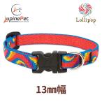 roli pop рисунок маленький размер собака предназначенный одним движением ошейник 13mm ширина XS размер 15-22cm LUPINE America производства легкий крепкий ru сосна 