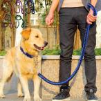  очень толстый ошейник половина воздушная заслонка большой собака собака сборник включая домашнее животное Lead короткое колье маленький размер собака собака средний собака 