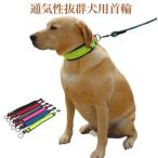 犬 首輪 犬首輪 犬の首輪 送料無料 おしゃれ かわいい 迷子札 中型犬 小型犬 小型犬用 いぬ くびわ 軽い 柴犬 チワワ トイプードル 犬用首輪 犬の首輪