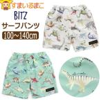 サーフパンツ 水着 キッズ 子供 恐竜図鑑総柄 男の子 UVカット 100cm 110cm 120cm 130cm 140cm EGエメラルドグリーン KNキナリ B276063 BIT'Z ビッツ