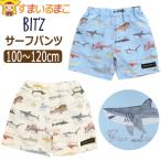 サーフパンツ 水着 トランクス水着 キッズ 子供 サメ図鑑総柄 男の子 UVカット 100cm 110cm 120cm B276044 BIT'Z ビッツ