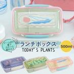 ランチボックス 弁当箱 ドームランチ お弁当箱 おしゃれ レンジ対応 女子 大人 子供 1段 500ml お弁当 日本製 食洗機対応 弁当 抗菌加工 かわいい 一段 弁当