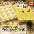 羽二重餅 チョコバナナ風味 黄金のぉまい玉 12個入 北陸 福井 銘菓 餅 和菓子 スイーツ お菓子 ギフト 贈り物 お土産 お供え 内祝い 返し