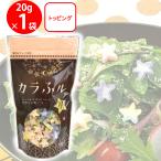 . суша магазин главный офис kala.ru20g