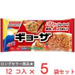 ショッピングギョーザ 冷凍食品 餃子 味の素冷凍食品 ギョーザ 12個×5袋　第9回フロアワ 冷凍惣菜 惣菜 ギョーザ ぎょうざ 中華 点心 おかず お弁当 おつまみ 軽食 冷凍 冷食 時短