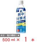 赤穂化成 熱中対策水 レモン味 500ml
