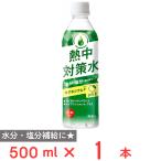 赤穂化成 熱中対策水 日向夏味 500ml