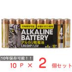 アルカリ乾電池レギュラー　単4　10P 日用品 ノンフード×2個