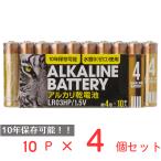 アルカリ乾電池レギュラー　単4　10P 日用品 ノンフード×4個
