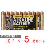 アルカリ乾電池レギュラー　単4　10P 日用品 ノンフード×5個