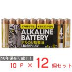 アルカリ乾電池レギュラー　単4　10P 日用品 ノンフード×12個