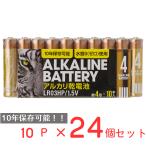 アルカリ乾電池レギュラー　単4　10P 日用品 ノンフード×24個