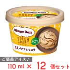 [アイス] ハーゲンダッツジャパン GREENCRAFT 豆乳バナナショコラ 110ml×12個