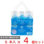 アース製薬 アースコロイダルシリカ100 6本×4個
