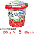 [冷蔵] 雪印メグミルク 恵 megumi ガセリ菌SP株 ヨーグルト アロエ 100g×5個