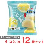 [ рефрижератор ].. магазин 4ko входить лимон большой удача ( лимон ..) 160g×12 шт 