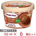 ショッピングハーゲンダッツ [アイス] ハーゲンダッツ GREEN CRAFT ミニカップ チョコレート＆マカデミア 110ml×6個