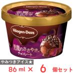 ショッピングハーゲンダッツ [アイス] ハーゲンダッツ ミニカップ 悪魔のささやき チョコレート 86ml×6個