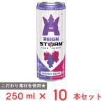 アサヒ飲料 レインストーム ハーベストグレープ 250ml×10本