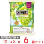 ショッピングシャインマスカット マンナンライフ 蒟蒻畑シャインマスカット味 25g×10個×6袋