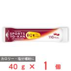 井村屋 スポーツようかん あずき 40g
