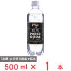 日本ビール 龍馬POWER SODA 500ml