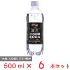 日本ビール 龍馬POWER SODA 500ml×6本