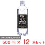 日本ビール 龍馬POWER SODA 500ml×12本