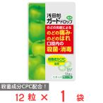 浅田飴 ガードドロップ 青リンゴ味 12粒