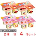 [ рефрижератор ] маленький da non 2 вида комплект [1 лет?] (..* яблоко ) каждый 2 шт итого 4 шт 