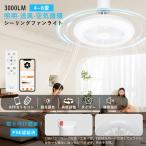  потолочный вентилятор свет потолочный светильник LED тонировка style свет потолочный вентилятор поток воздуха регулировка таймер дистанционный пульт вентилятор Alexa/Google соответствует ручной . направление воздушного потока настройка . электро- wi-fi