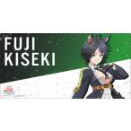 【新品/公式】劇場版 ウマ娘 プリティーダービー 新時代の扉 ブシロード ラバーマットコレクション V2 Vol.1307 フジキセキ